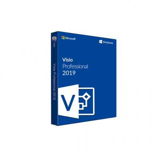 VISIO 2019 PROFESSIONAL BOX-100